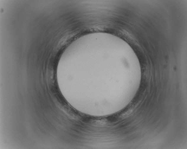 X0000075890548200610151754