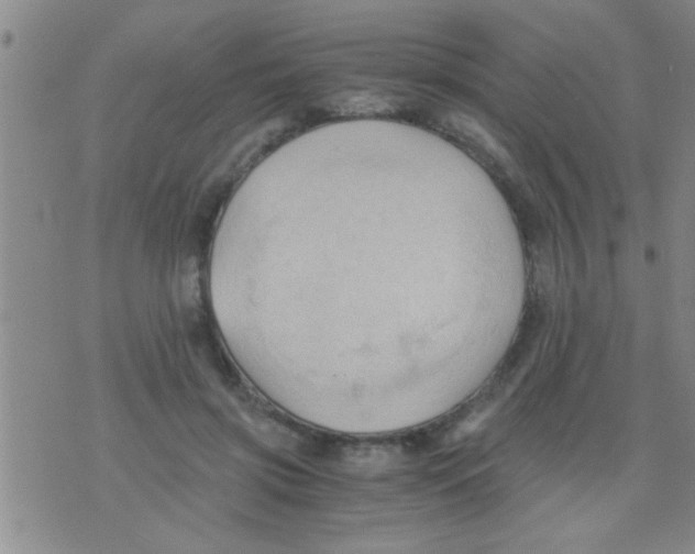 X0000075890549200610151754