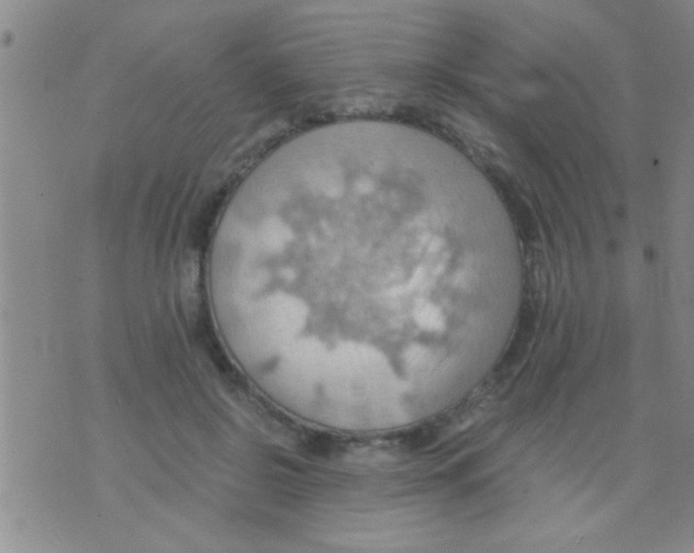 X0000075890550200610151754