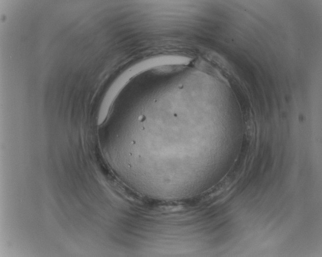 X0000075890552200610151754