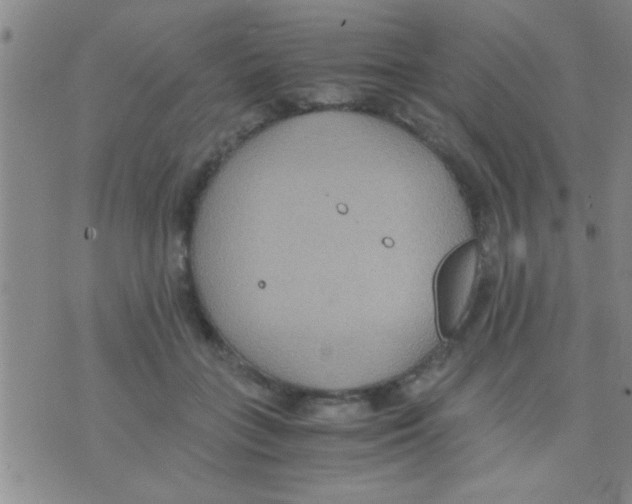 X0000075890555200610151754