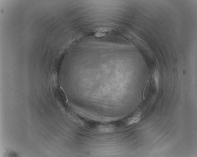 X0000075890556200610151754