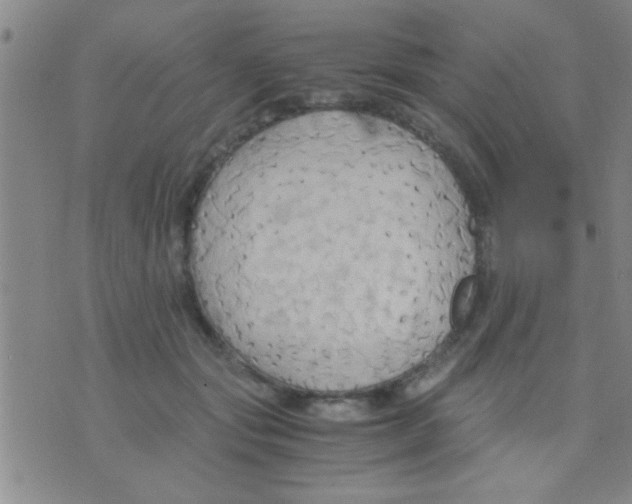 X0000075890557200610151754