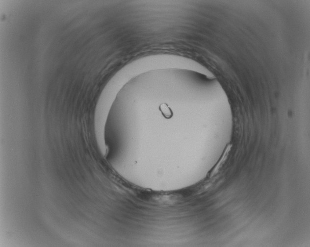 X0000075890558200610151754