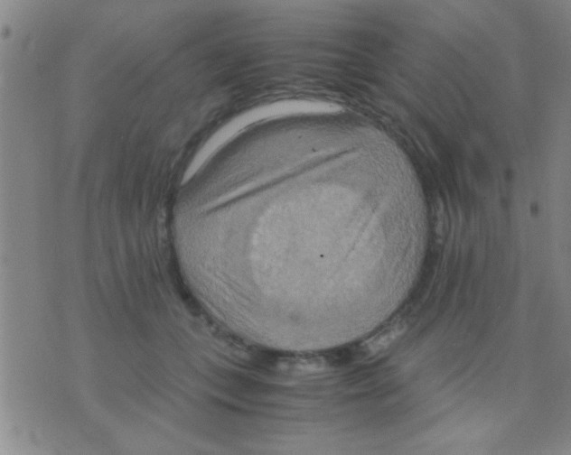 X0000075890559200610151754