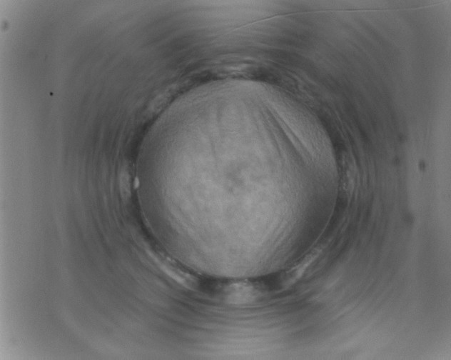 X0000075890562200610151754