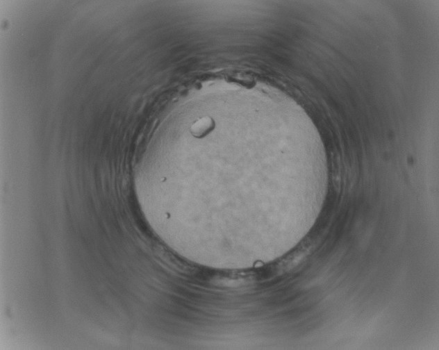 X0000075890563200610151754