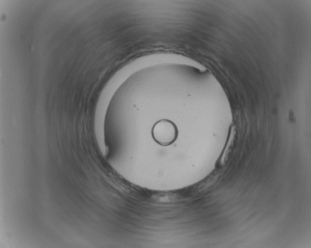 X0000075890564200610151754