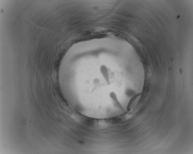 X0000075890565200610151754