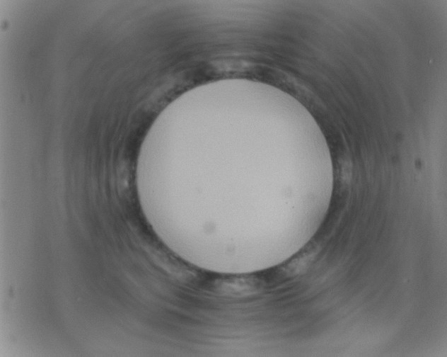 X0000075890567200610151754