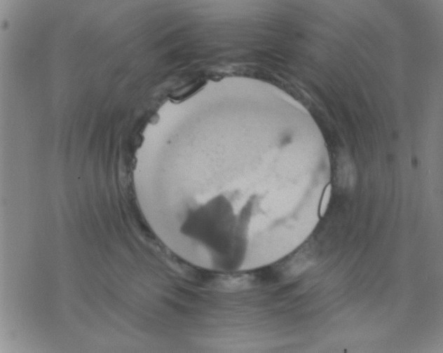 X0000075890569200610151754