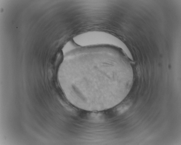 X0000075890570200610151754