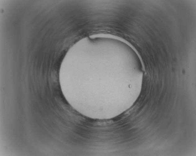 X0000075890571200610151754