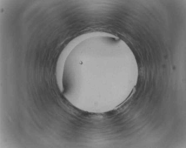 X0000075890572200610151754