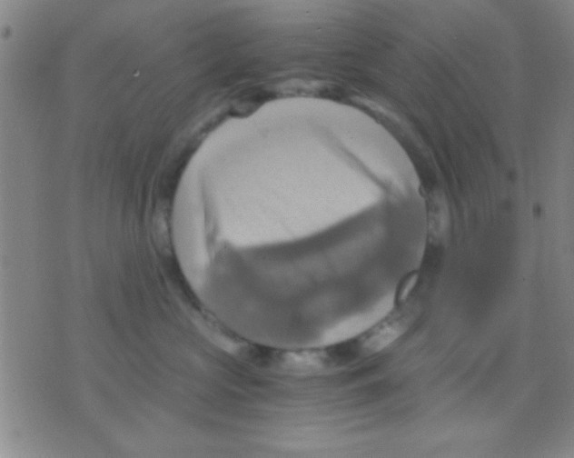 X0000075890573200610151754