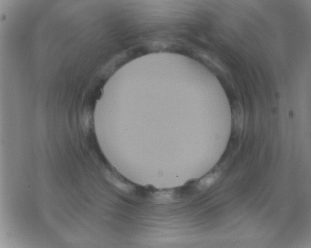 X0000075890574200610151754