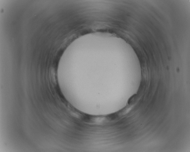 X0000075890575200610151754