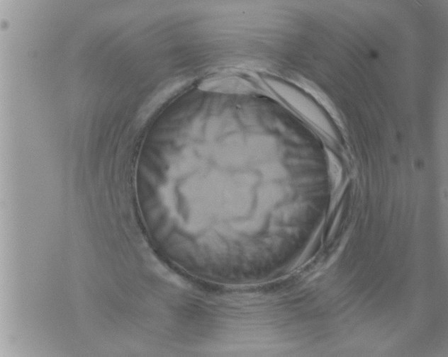 X0000075890577200610151753