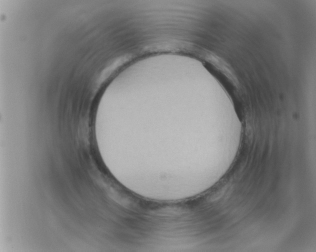 X0000075890578200610151753