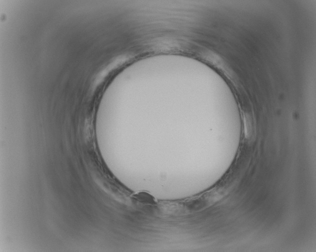 X0000075890579200610151753