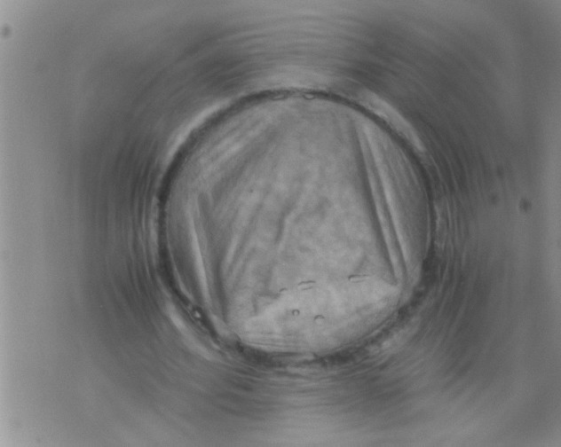 X0000075890580200610151753