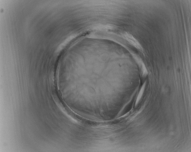 X0000075890581200610151753