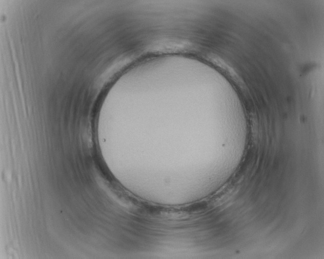 X0000075890582200610151753