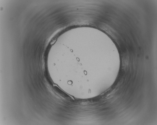 X0000075890584200610151753