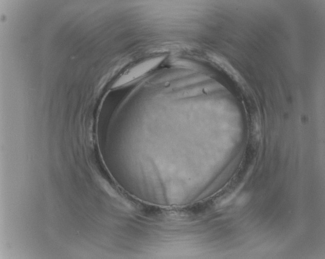 X0000075890585200610151753