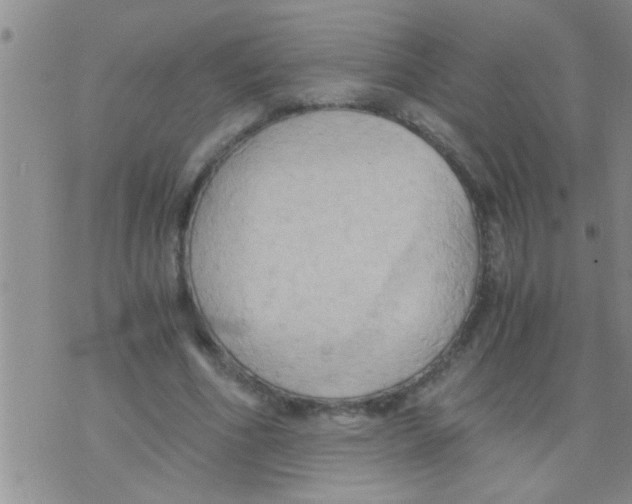 X0000075890586200610151753