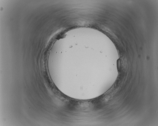 X0000075890587200610151753