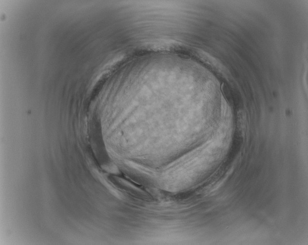 X0000075890589200610151753