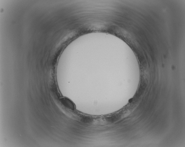 X0000075890591200610151753