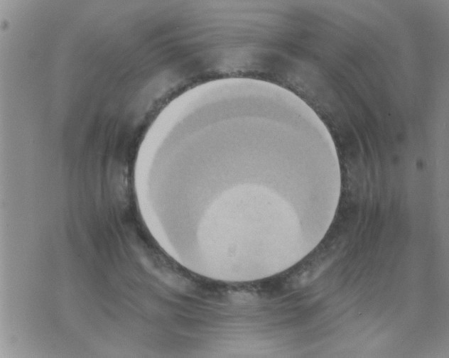 X0000075890592200610151753