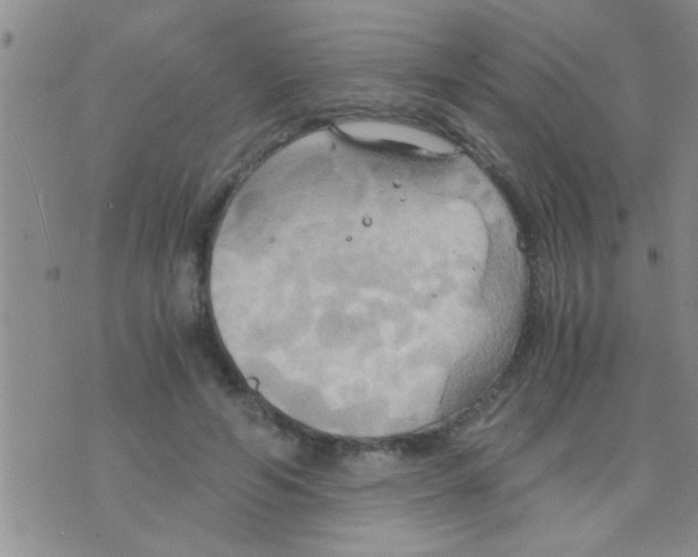 X0000075890594200610151753