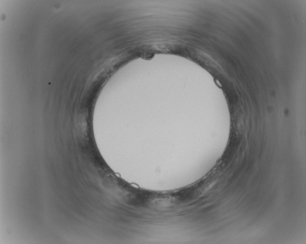 X0000075890595200610151753