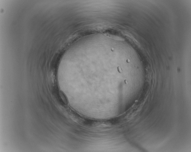 X0000075890597200610151753