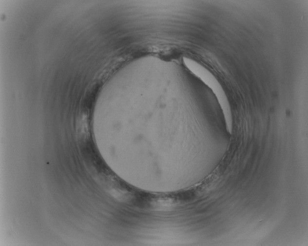 X0000075890598200610151753