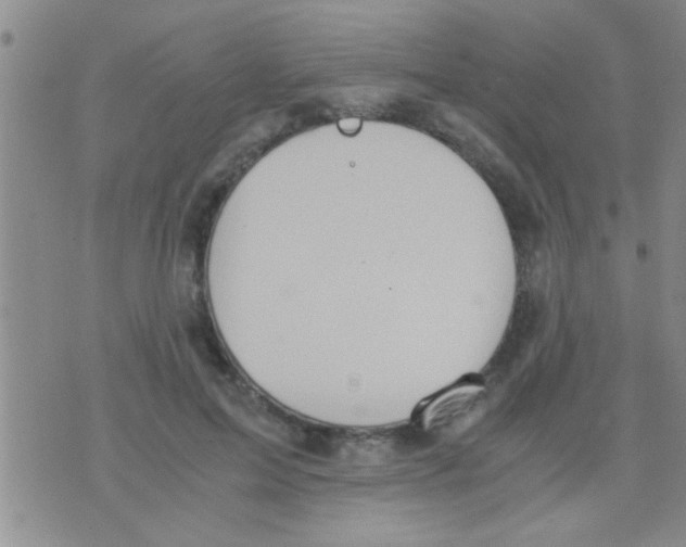 X0000075890599200610151753