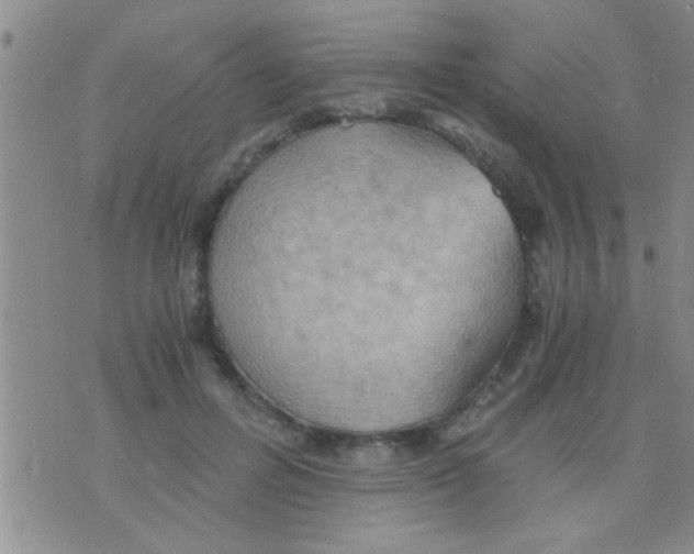 X0000075890600200610151753