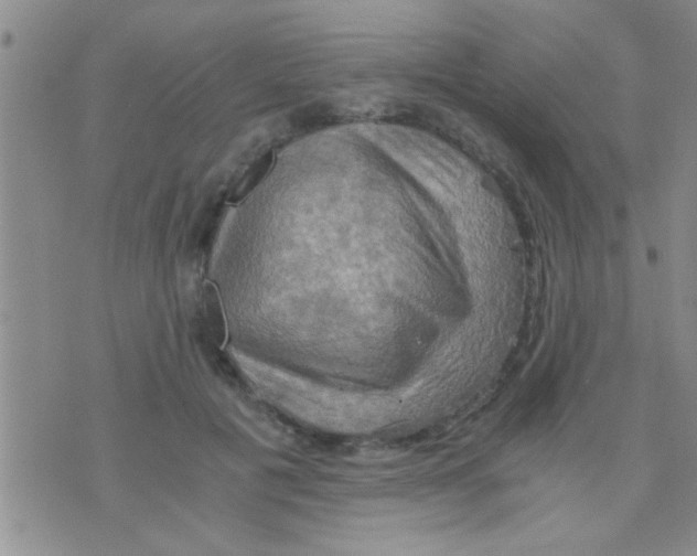 X0000075890601200610151753