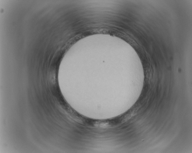 X0000075890602200610151753