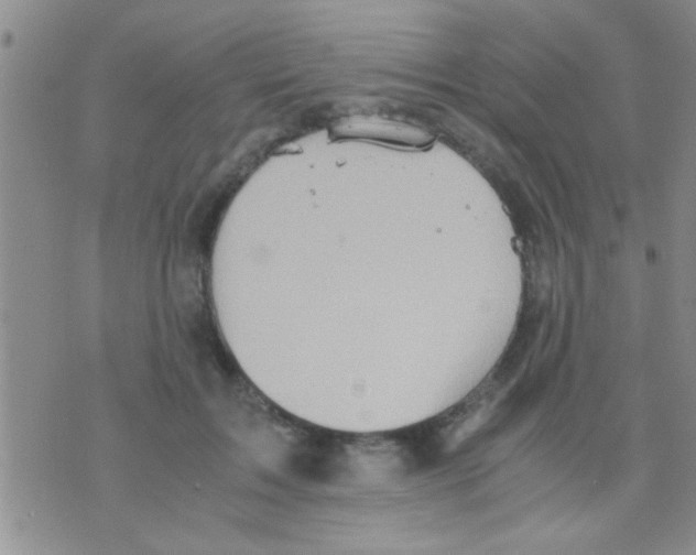 X0000075890603200610151753