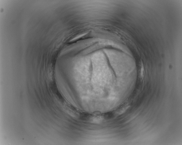 X0000075890604200610151753