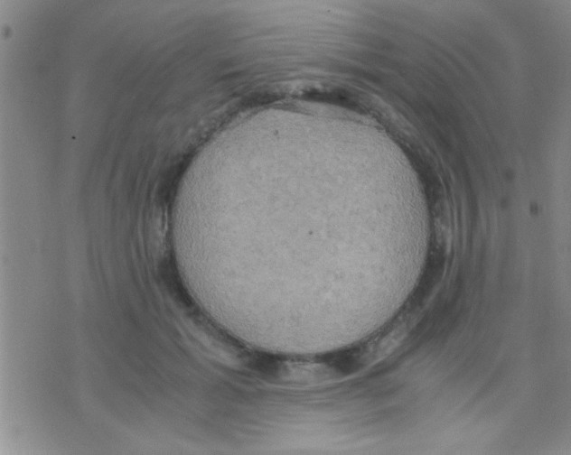 X0000075890605200610151753