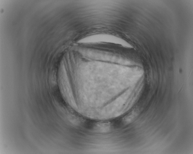 X0000075890606200610151753