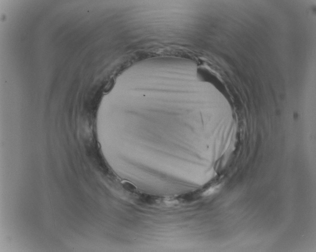 X0000075890607200610151753