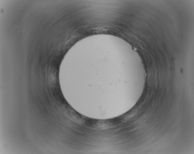 X0000075890608200610151753