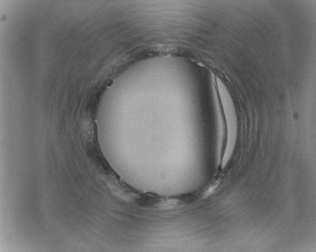 X0000075890609200610151753