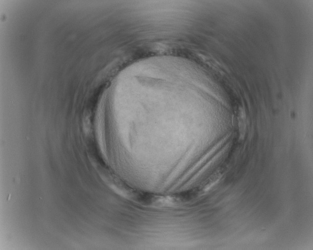 X0000075890611200610151753